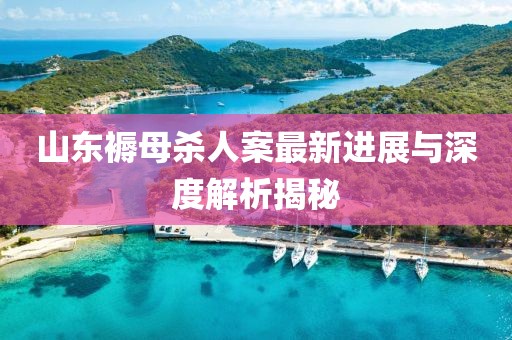 山東褥母殺人案最新進(jìn)展與深度解析揭秘