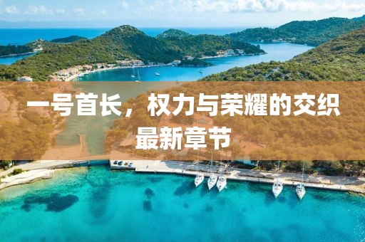 一號首長，權(quán)力與榮耀的交織最新章節(jié)