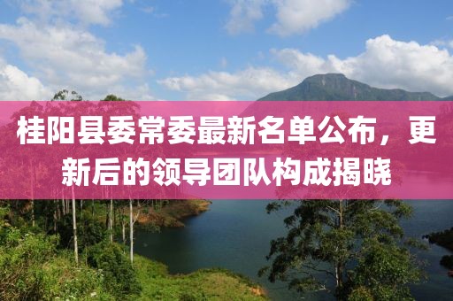 桂陽縣委常委最新名單公布，更新后的領(lǐng)導(dǎo)團(tuán)隊構(gòu)成揭曉