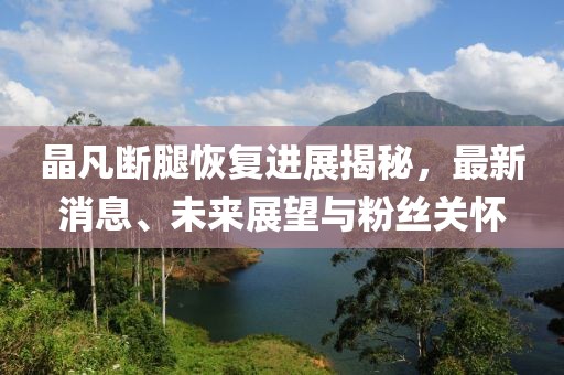 晶凡斷腿恢復(fù)進(jìn)展揭秘，最新消息、未來展望與粉絲關(guān)懷