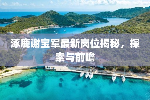 涿鹿謝寶軍最新崗位揭秘，探索與前瞻