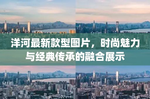 洋河最新款型圖片，時(shí)尚魅力與經(jīng)典傳承的融合展示