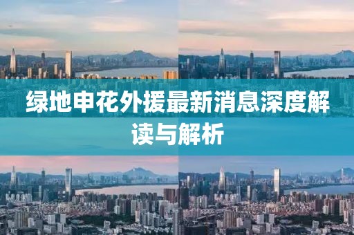 綠地申花外援最新消息深度解讀與解析