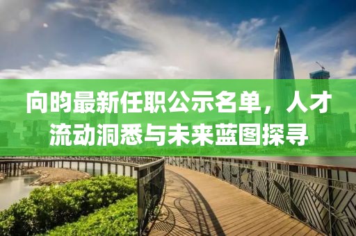 向昀最新任職公示名單，人才流動洞悉與未來藍圖探尋