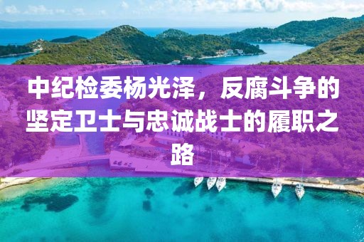 中紀(jì)檢委楊光澤，反腐斗爭的堅定衛(wèi)士與忠誠戰(zhàn)士的履職之路