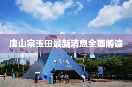 唐山宗玉田最新消息全面解讀