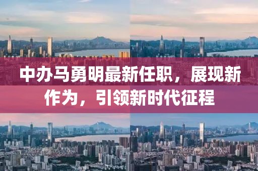 中辦馬勇明最新任職，展現(xiàn)新作為，引領(lǐng)新時代征程