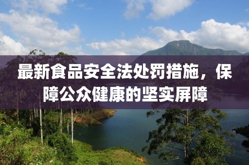 最新食品安全法處罰措施，保障公眾健康的堅(jiān)實(shí)屏障