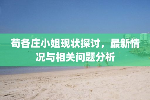 茍各莊小姐現(xiàn)狀探討，最新情況與相關(guān)問題分析