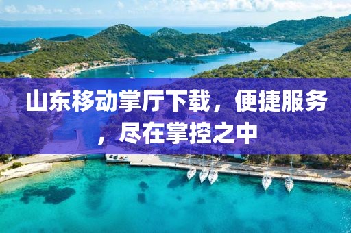 山東移動掌廳下載，便捷服務，盡在掌控之中