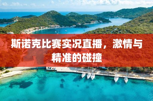 斯諾克比賽實況直播，激情與精準的碰撞