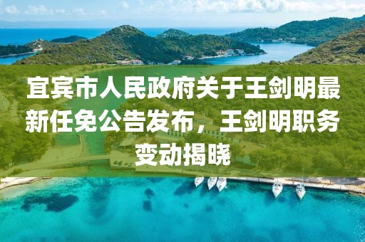 宜賓市人民政府關(guān)于王劍明最新任免公告發(fā)布，王劍明職務(wù)變動揭曉
