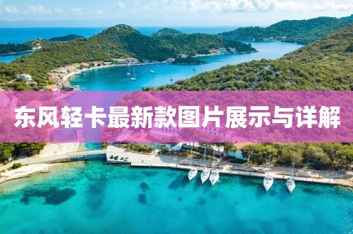 東風(fēng)輕卡最新款圖片展示與詳解