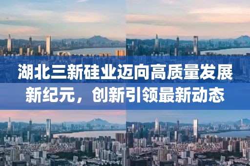 湖北三新硅業(yè)邁向高質(zhì)量發(fā)展新紀(jì)元，創(chuàng)新引領(lǐng)最新動態(tài)