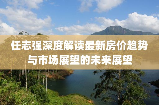 任志強(qiáng)深度解讀最新房價(jià)趨勢與市場展望的未來展望