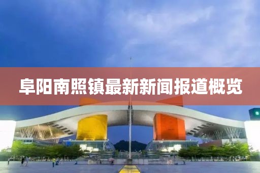 阜陽南照鎮(zhèn)最新新聞報道概覽
