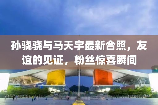 孫驍驍與馬天宇最新合照，友誼的見(jiàn)證，粉絲驚喜瞬間