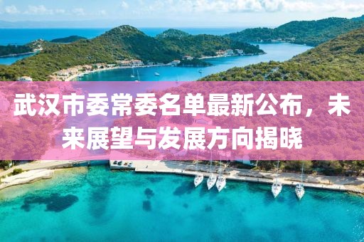 武漢市委常委名單最新公布，未來展望與發(fā)展方向揭曉