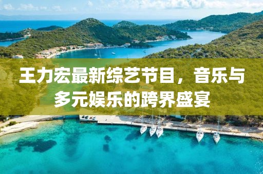 王力宏最新綜藝節(jié)目，音樂(lè)與多元娛樂(lè)的跨界盛宴