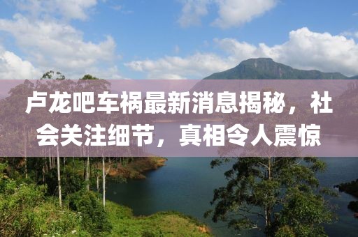 盧龍吧車(chē)禍最新消息揭秘，社會(huì)關(guān)注細(xì)節(jié)，真相令人震驚