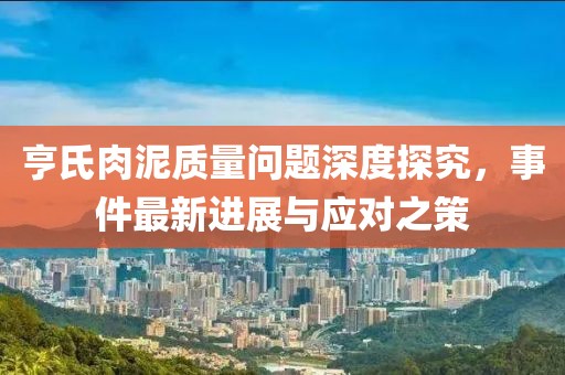 亨氏肉泥質(zhì)量問題深度探究，事件最新進展與應(yīng)對之策