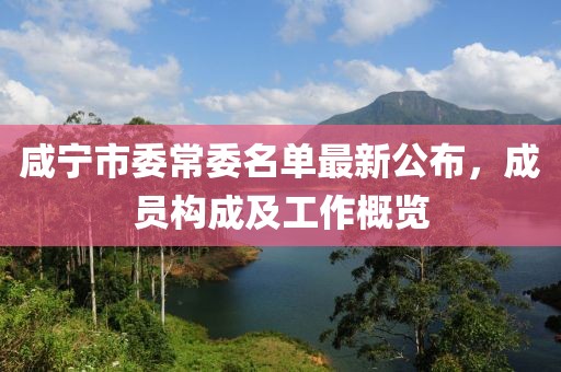 咸寧市委常委名單最新公布，成員構(gòu)成及工作概覽