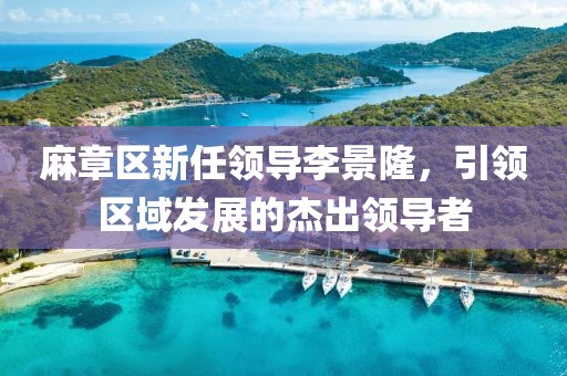 麻章區(qū)新任領(lǐng)導(dǎo)李景隆，引領(lǐng)區(qū)域發(fā)展的杰出領(lǐng)導(dǎo)者