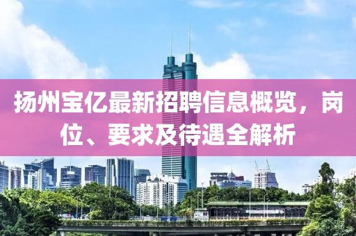 揚(yáng)州寶億最新招聘信息概覽，崗位、要求及待遇全解析