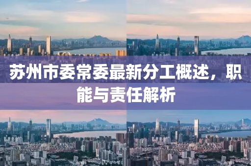 蘇州市委常委最新分工概述，職能與責任解析