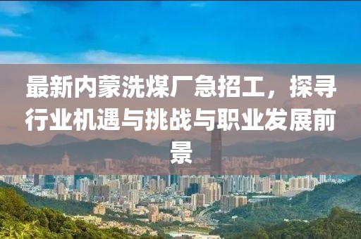 最新內(nèi)蒙洗煤廠急招工，探尋行業(yè)機遇與挑戰(zhàn)與職業(yè)發(fā)展前景