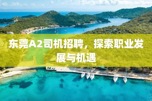 東莞A2司機招聘，探索職業(yè)發(fā)展與機遇