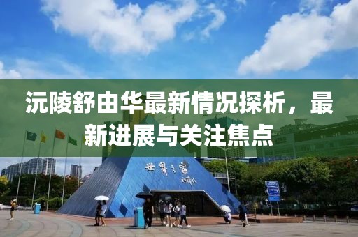 沅陵舒由華最新情況探析，最新進(jìn)展與關(guān)注焦點(diǎn)