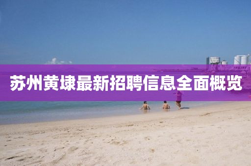 蘇州黃埭最新招聘信息全面概覽
