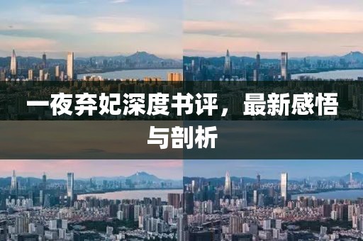 一夜棄妃深度書評，最新感悟與剖析