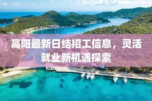 高陽最新日結(jié)招工信息，靈活就業(yè)新機(jī)遇探索