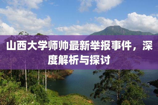 山西大學(xué)師帥最新舉報(bào)事件，深度解析與探討