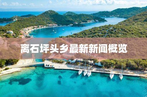 離石坪頭鄉(xiāng)最新新聞概覽