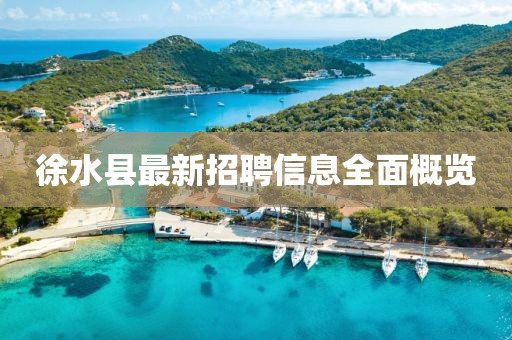 徐水縣最新招聘信息全面概覽