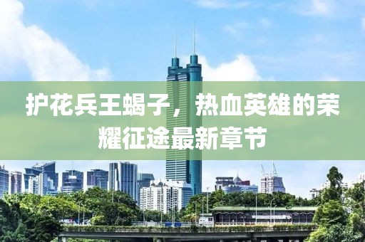 護(hù)花兵王蝎子，熱血英雄的榮耀征途最新章節(jié)