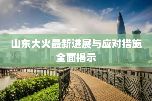 山東大火最新進展與應對措施全面揭示