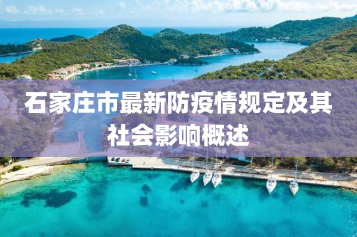 石家莊市最新防疫情規(guī)定及其社會影響概述