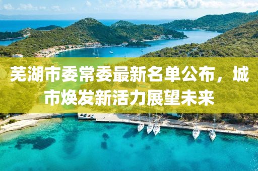 蕪湖市委常委最新名單公布，城市煥發(fā)新活力展望未來(lái)