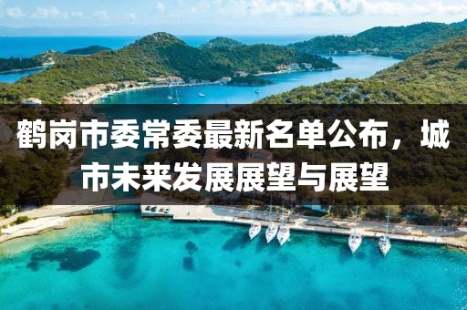 鶴崗市委常委最新名單公布，城市未來(lái)發(fā)展展望與展望