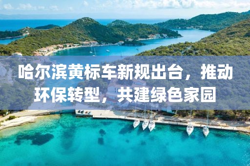 哈爾濱黃標(biāo)車新規(guī)出臺(tái)，推動(dòng)環(huán)保轉(zhuǎn)型，共建綠色家園