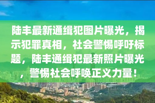 陸豐最新通緝犯圖片曝光，揭示犯罪真相，社會警惕呼吁標題，陸豐通緝犯最新照片曝光，警惕社會呼喚正義力量！