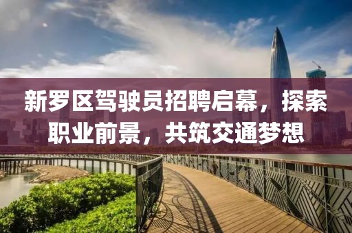 新羅區(qū)駕駛員招聘啟幕，探索職業(yè)前景，共筑交通夢(mèng)想