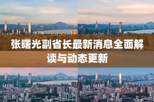 張曙光副省長最新消息全面解讀與動態(tài)更新