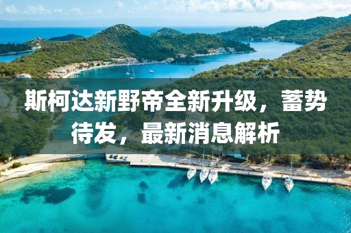 斯柯達新野帝全新升級，蓄勢待發(fā)，最新消息解析