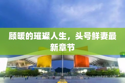 顧暖的璀璨人生，頭號鮮妻最新章節(jié)