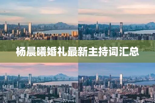 楊晨曦婚禮最新主持詞匯總